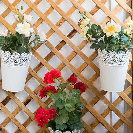 Lisboa Central Hostel Hostel